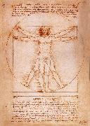 LEONARDO da Vinci, Rule fur the proportion of the human figure